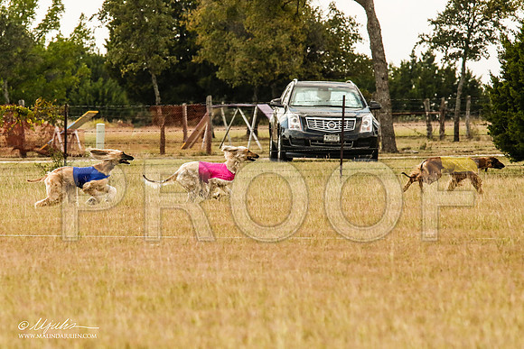 _MJ_5835-AfgBeltonOct2014-HR3
