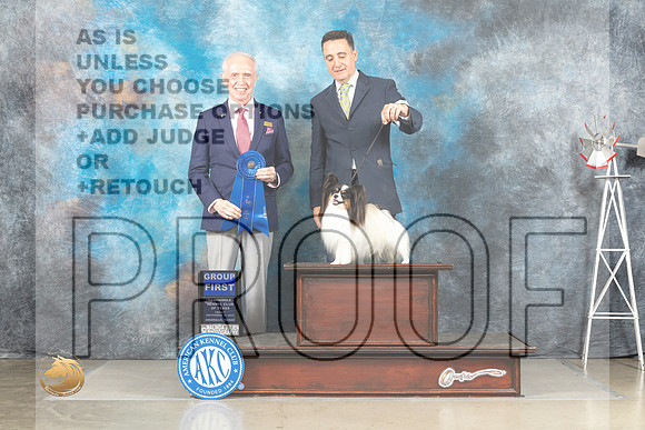 Papillon #8 Fri G1 Judge Fred Bassett_MJ_4196_Amarillo_2022_HR3