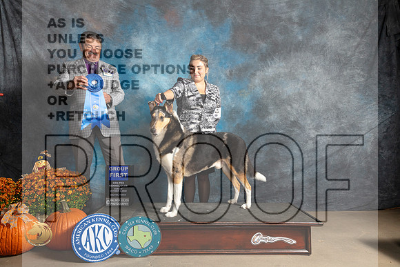 Smooth Collie #7 Sun G1 Judge Lloyd Graser_MJ_6687_Belton_2022_HR3
