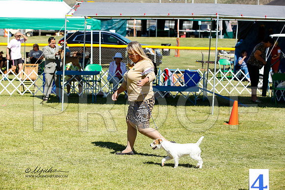 _JN_1127-AlamogordoOct2014-HR3