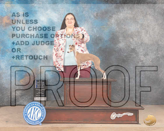 Italian Greyhound #6 Fri BOWMCh Judge Mary Jane Carberry r-MMJ_3708-Abilene2022-HR3