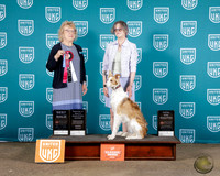 J. Vookles UKC Western Classic