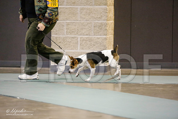 _LH_3574-BeltonJan2015-HR3