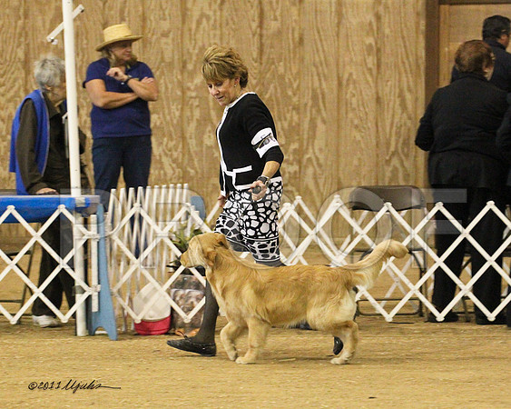 BIS Puppy-9122