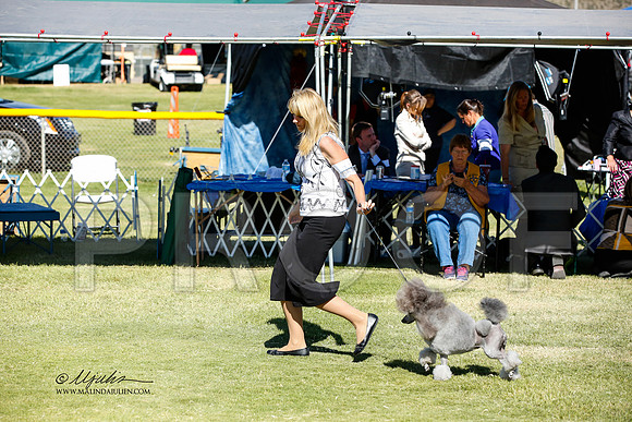 _JN_1448-AlamogordoOct2014-HR3