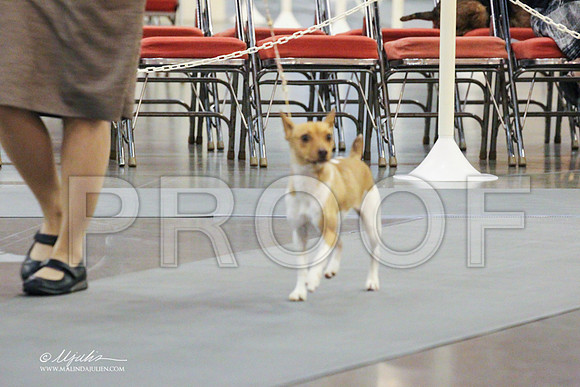 Rat-0221 PROOF