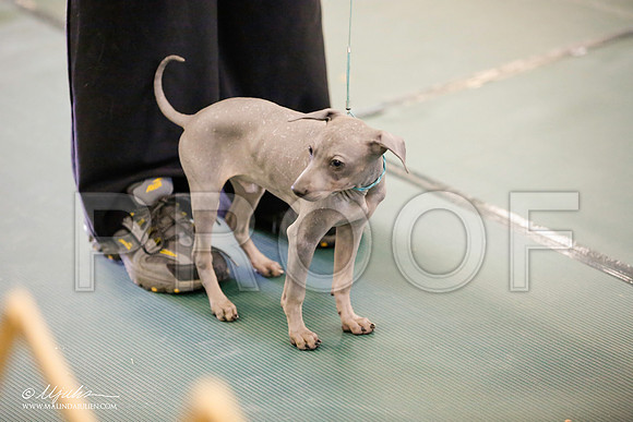 _JN_3324-BeltonJan2015-HR3