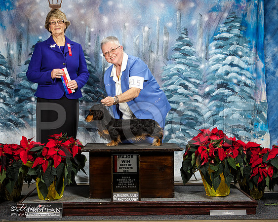 _ST_8438-DallasDec2014-HR3