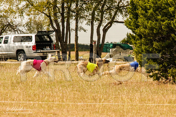 _MJ_5612-AfgBeltonOct2014-HR3