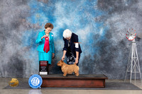 Norwich Terrier #6 Sun G2 Judge Pat Trotter