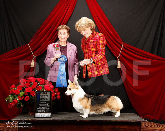 _ST_3464-2-HstnCorgiFeb2015-HR3