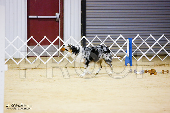 _JN_7127-ASCACollegeStationNov2014-HR3