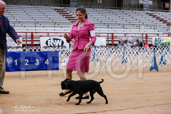 _JJ_8206-TxArJun2014-HR3