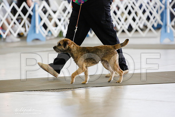 _JN_3907-DallasJul2014-HR3