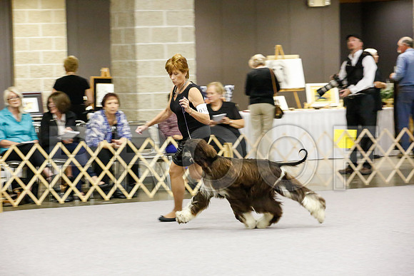 _JJ_9673-AfgBeltonOct2014-HR3