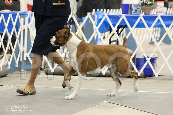 IMG_8367-Abilene2011-HR3