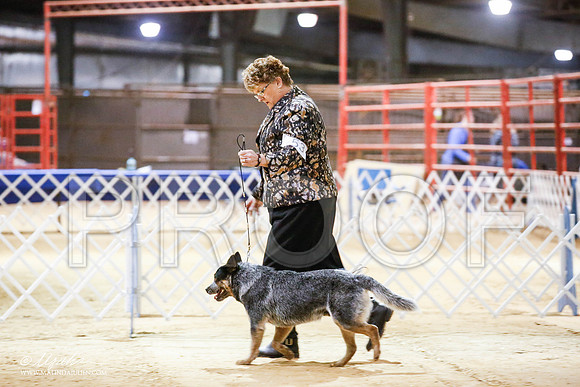 _JN_4053-2-GlenRoseJan2015-HR3