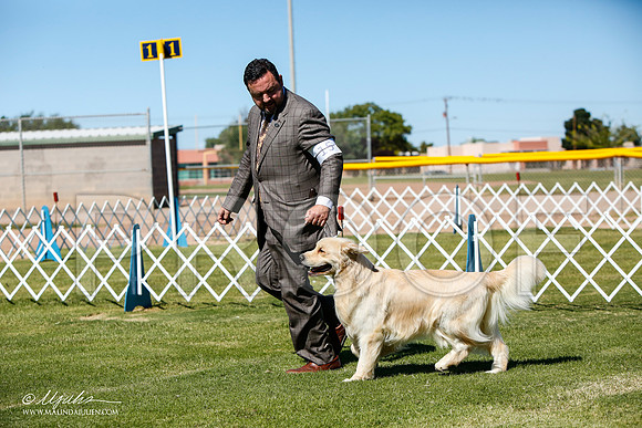 _JJ_4875-AlamogordoOct2014-HR3
