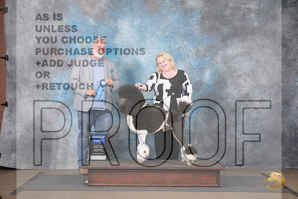 Poodle Standard MC #212 Sat G1 Judge Matthew Proctor__JP_2713_LongviewTX_2024_HR3