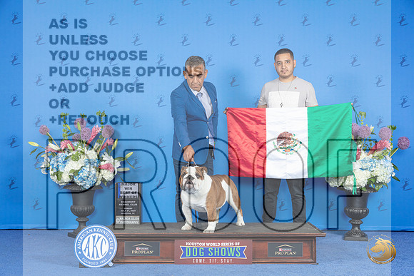 Bulldog #23 SUN BOW M Judge Douglas Johnson__JP_0176_Houston_2024_HR3