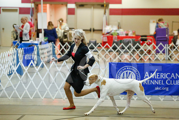 _JJ_2677-AmarilloSept2014-HR3