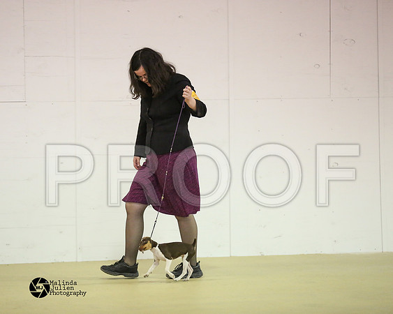AmHrlss-9798-HtoJan2014-HR3