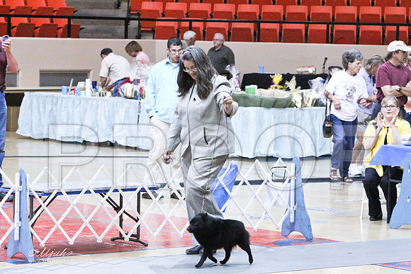 NonSporting-6743LR