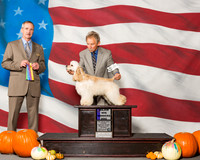 Spaniels Cocker ASCOB #5 Sun WD MAJ Guidry Renee Judge Mr Rick Gschwender
