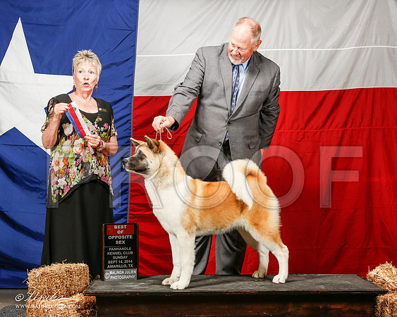 _ST_2064-2-AmarilloSep2014-HR3