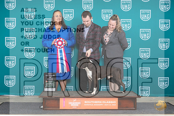American Pit Bull Terrier #124 Sat1 VBIS Judge Valerie Piltz__JP_6501_BatesvilleMS_2024_HR3