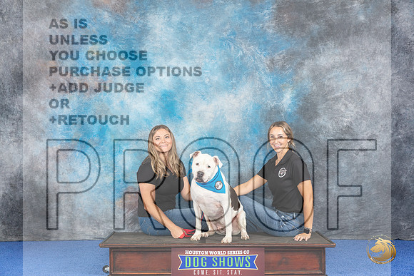 CUSTOM Adoption__JP_6463_Houston_2024_HR3