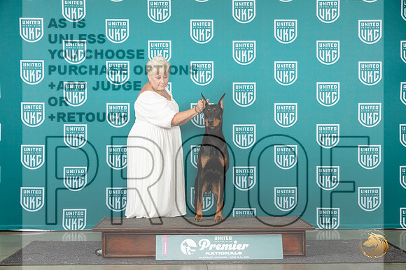 Doberman PInscher #959 Brinkx__JP_2165_Premier_2024_HR3
