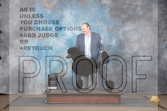 Poodle Standard #222 Sat BOB G3 NCh Judge Matthew Proctor__JP_2626_LongviewTX_2024_HR3