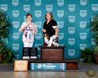 Carol Lauren-Schmidt UKC Premier 2025