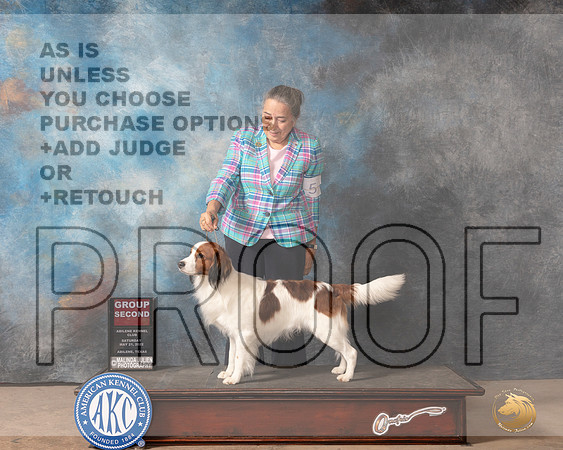 Kooikerhondje #5 Sat G2 Judge Pat Trotter-MMJ_4133-Abilene2022-HR3