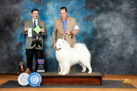 Samoyed #5 Sat RBIS Judge Jim Fehring