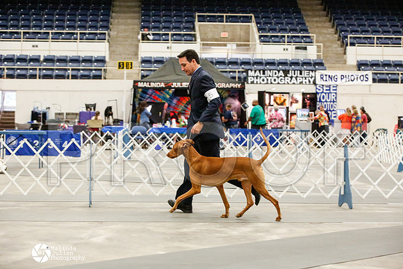 _JJ_0093-AblnMay2014-web