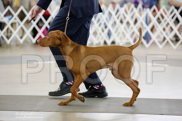 _JN_1039-DallasJul2014-HR3