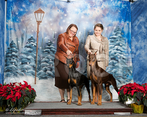 _ST_9118-DallasDec2014-HR3