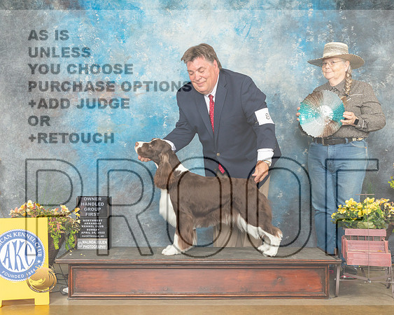 English Springer Spaniel #8 Sun OHG1 Judge Jan Sigler-MMJ_1643-NWARK2022-HR3