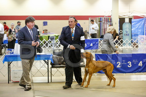 _JN_9160-AmarilloSept2014-HR3