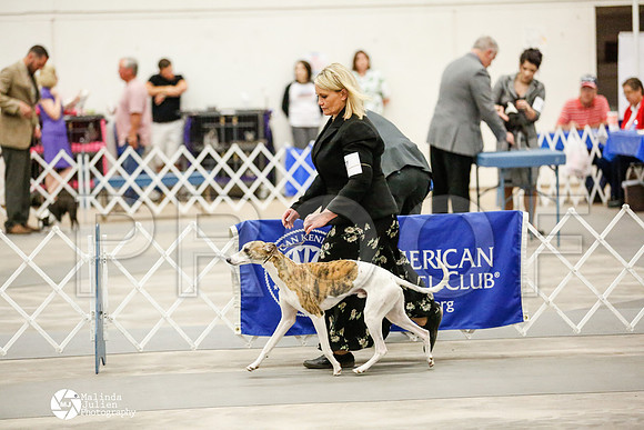 _RH_1845-AblnMay2014-web