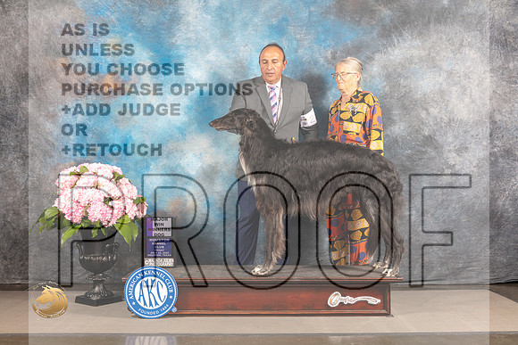 Borzoi #21 FRI WD Major Judge Timothy Catterson_MJ_5206_Houston_2022_HR3