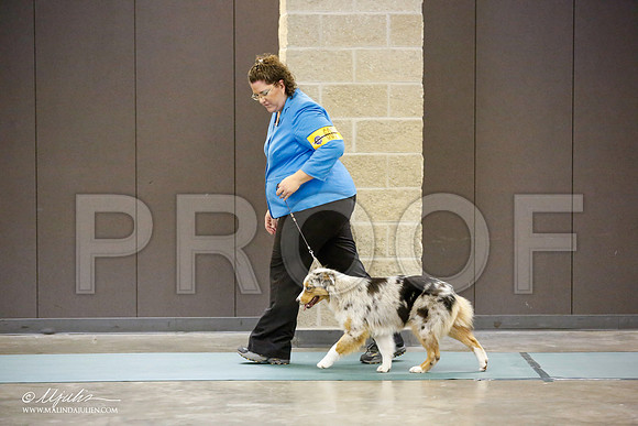 _JN_3230-BeltonJan2015-HR3