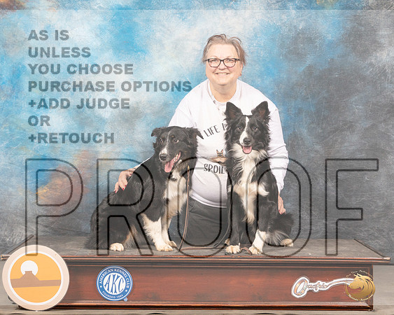 Miniature American Shepherd #16 Sat CustomMMJ_4086_Mdlnd2022_HR3