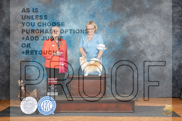 Chihuahua Long Coat #21 Fri G2 Judge Suzanne Dillin__JP_7314_MARSHALL_2024_HR3