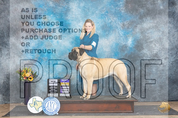 Mastiff #10 Fri WBBOBCH Judge Rick Gschwender__JP_0002_Abilene_2024_HR3