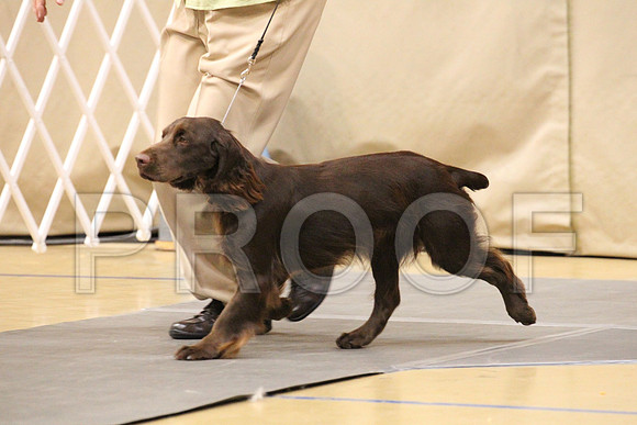 MJS_2727