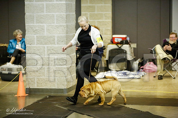 _JJ_5701-BeltonJan2015IABCA-HR3