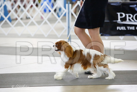 _CK_3381-DallasJul2014-HR3